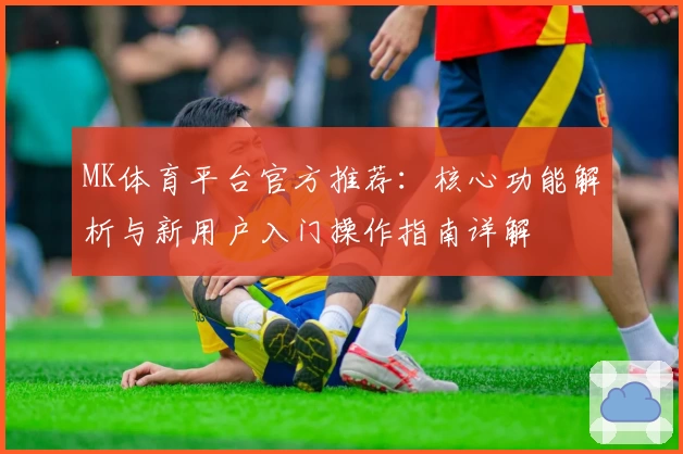 MK体育平台官方推荐：核心功能解析与新用户入门操作指南详解